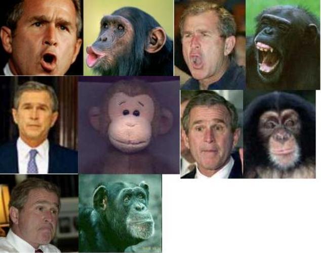 Bush and the Chimp